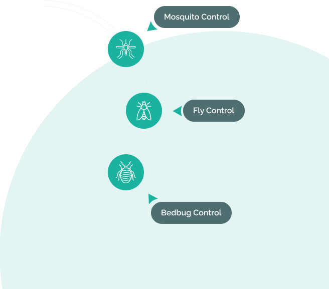 Creating a Safe and Healthy Environment  for You
